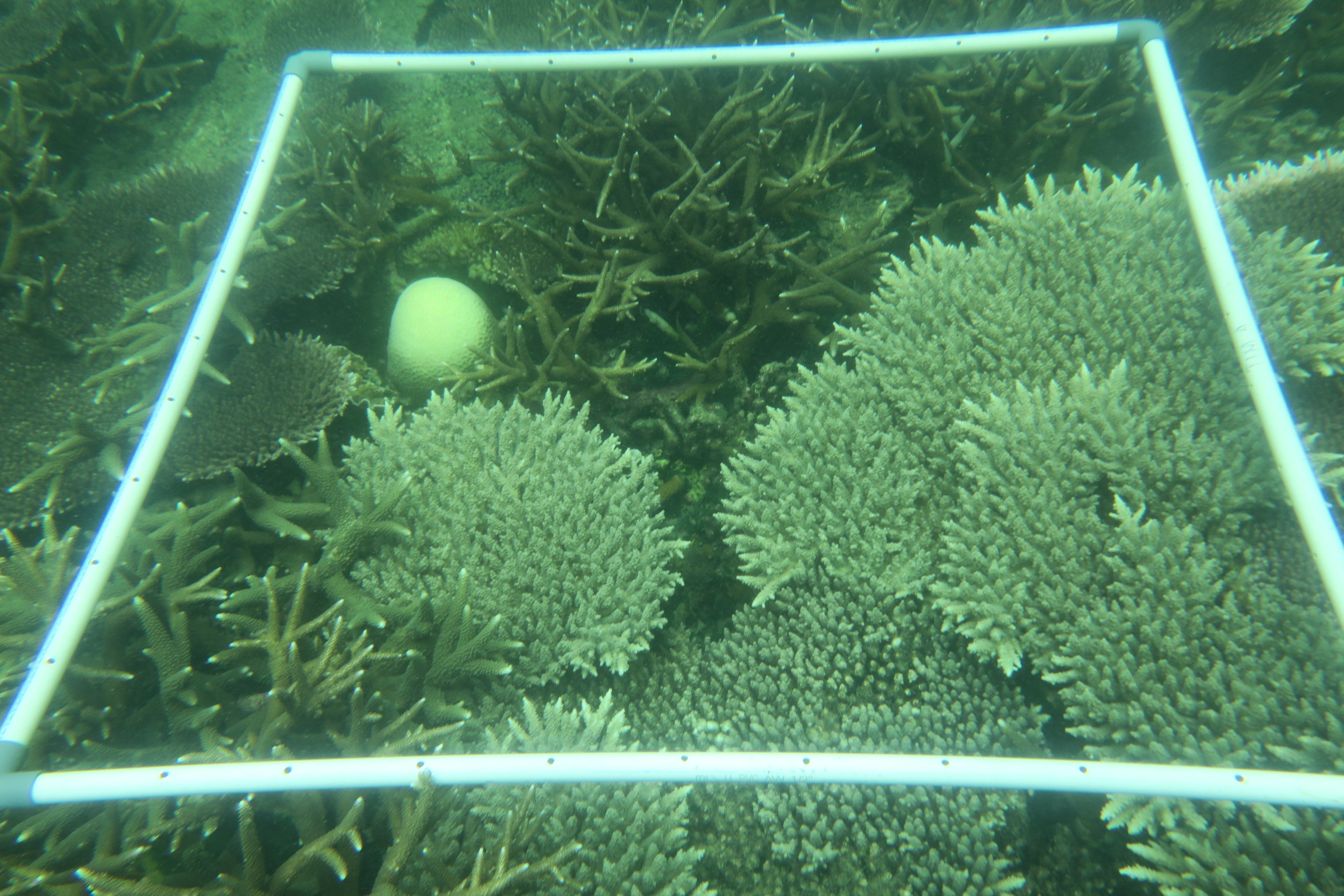 Gambar Dokumentasi 1