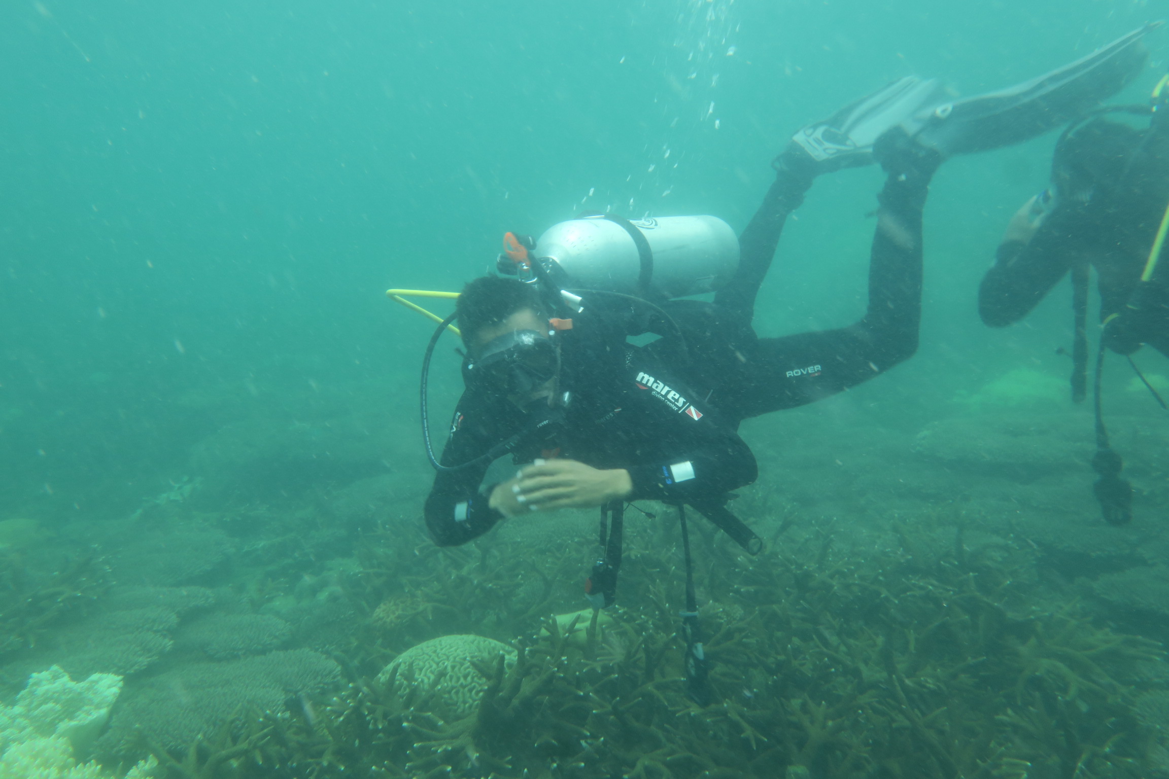 Gambar Dokumentasi 2