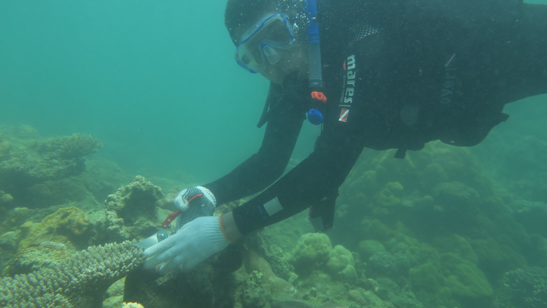 Gambar Dokumentasi
                            5