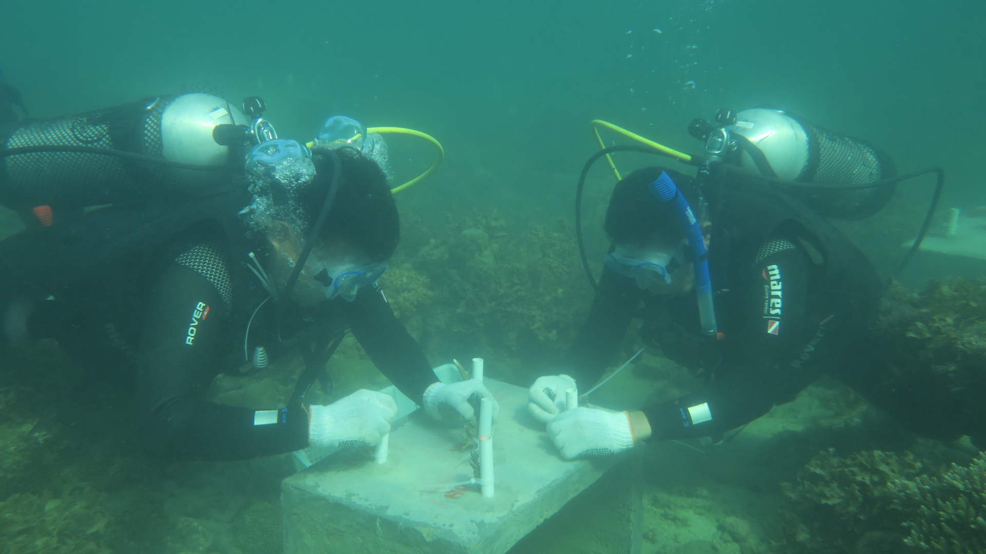 Gambar Dokumentasi
                            6